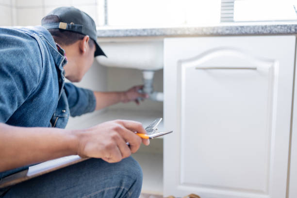 Best Sprinkler Systems  in Mayer, MN