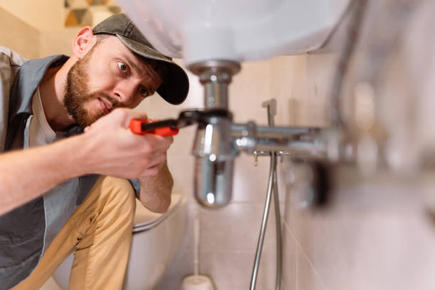 Best Residential Plumbing Services  in Mayer, MN