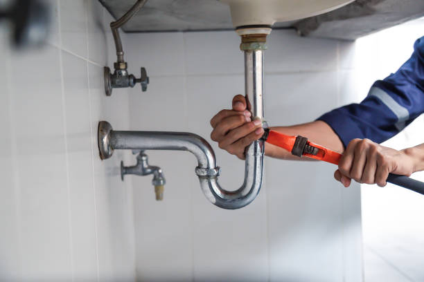 Best Best Plumbers Near Me  in Mayer, MN