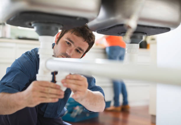 Best Plumbing Inspection Services  in Mayer, MN