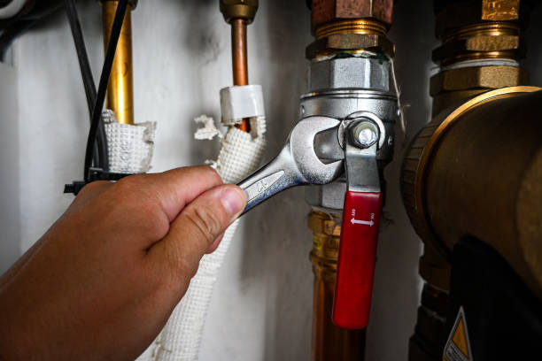 Best Sewer Cleaning Services  in Mayer, MN